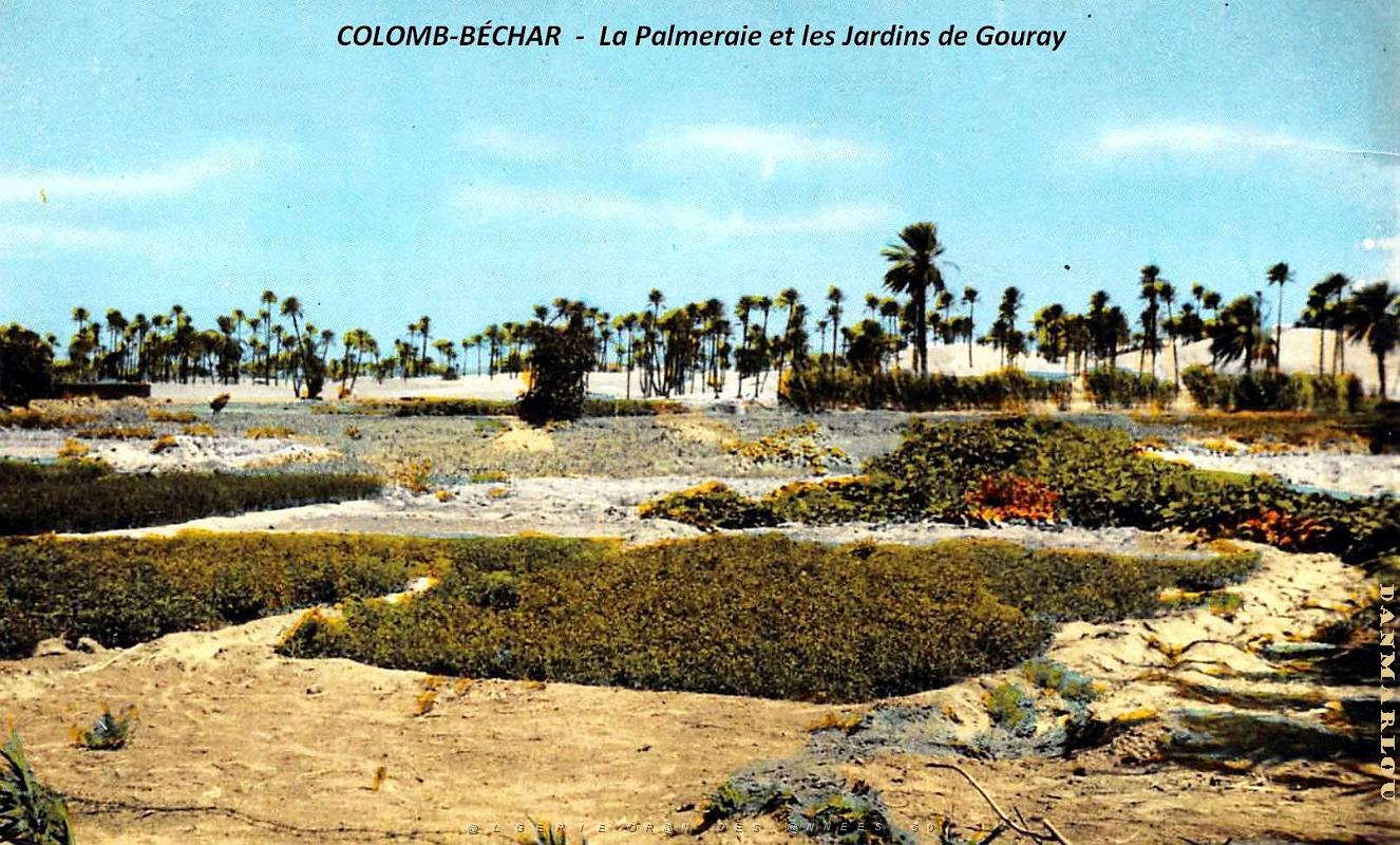 Colomb-Bechar - Palmeraie et Jardins de Gouray.jpg
